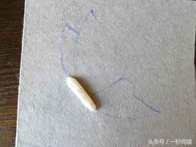 淡水珍珠串珠蝴蝶,羽毛串珠珍珠胸针