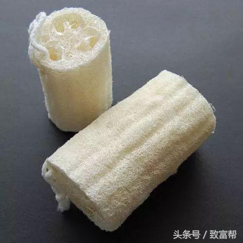 过去有哪些致富好项目,一周致富锦囊经典语录