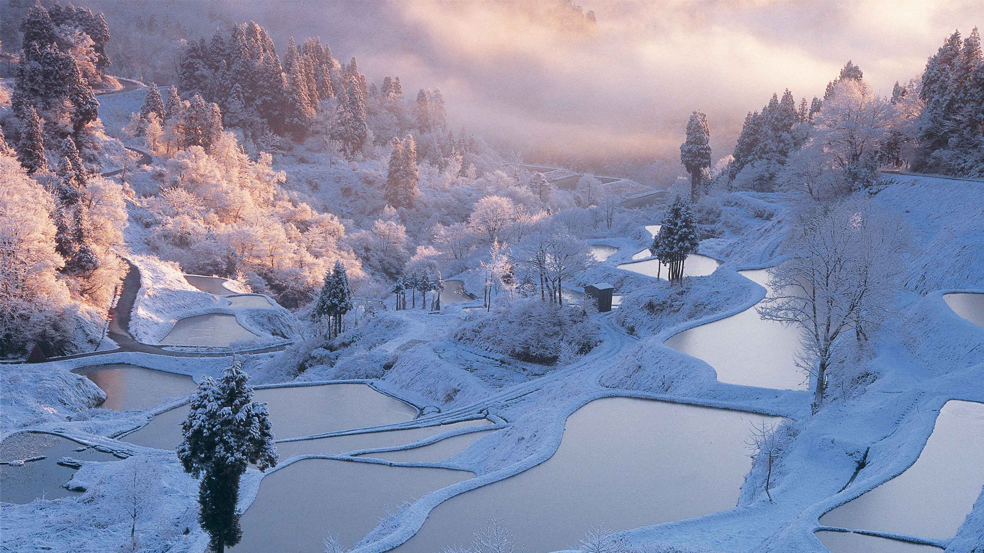 说实话,我太愿意让朋友圈知道在国外玩,特别是在当下