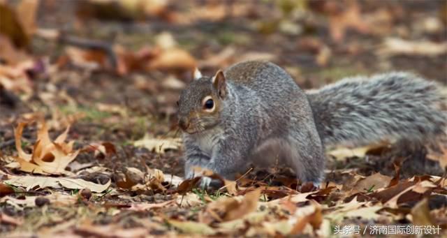这34个间谍，每天只干一件事：*窥偷**！还拍成电影全球上映？