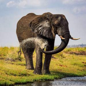 《纽约时报》评出玩转全球的热门景点！