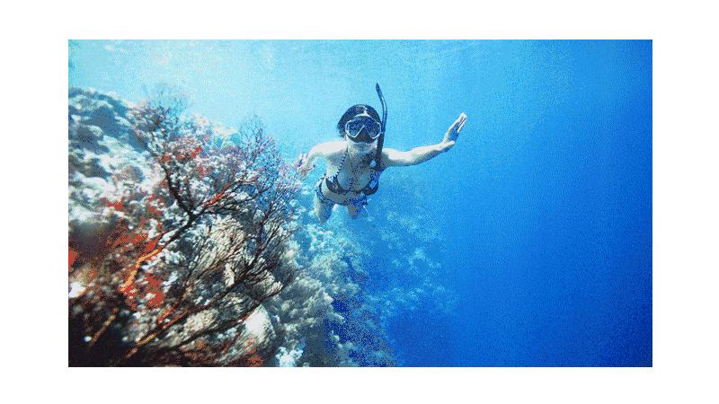 帕劳旅游攻略详解,帕劳旅游攻略六天