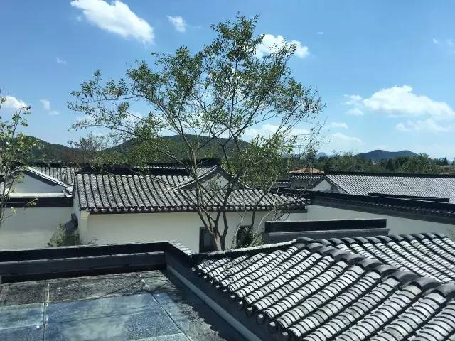 何必羡西风什么意思,何必羡西风