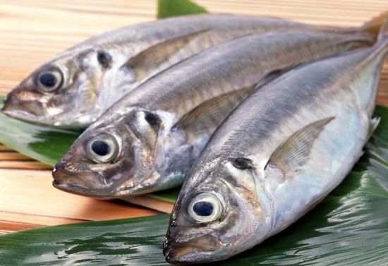 怀孕早期需要补充dha吗,怀孕期间有没必要补充dha