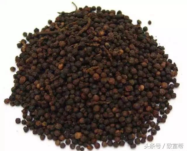 过去有哪些致富好项目,一周致富锦囊经典语录