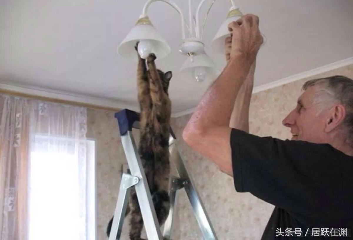 双十一过完又该吃土了,双十一结束了开始吃土