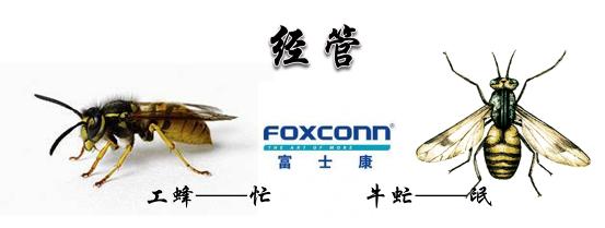 富士康经管会计,富士康经管专员