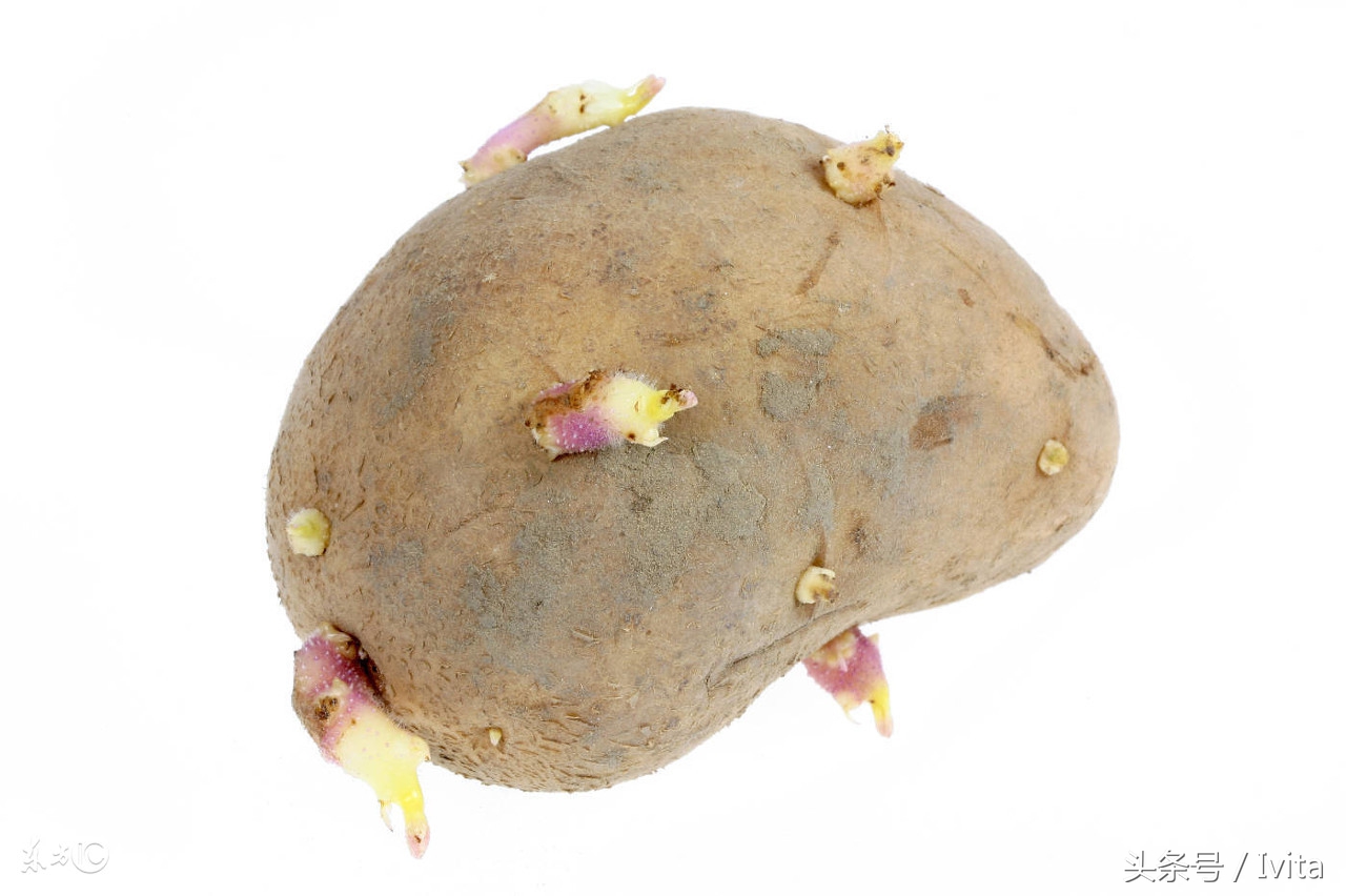 治疗食物中毒的药有哪些,治疗食物中毒最好的医院