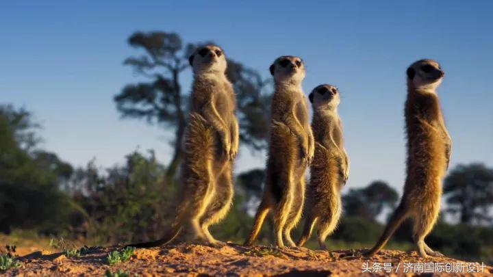 这34个间谍，每天只干一件事：*窥偷**！还拍成电影全球上映？