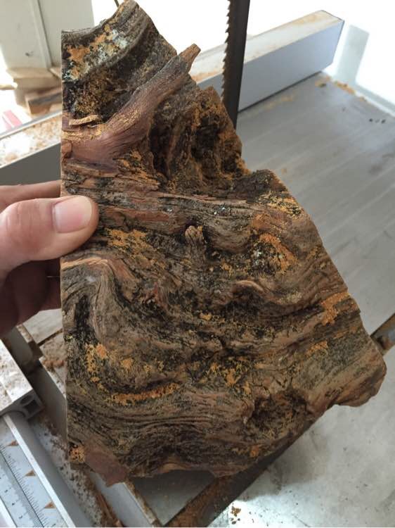 崖柏手串的历史,关于崖柏的那些事