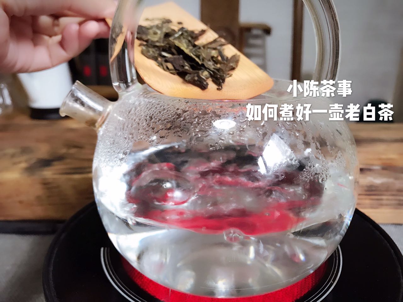 白茶到底怎么喝,白茶什么口感怎么品