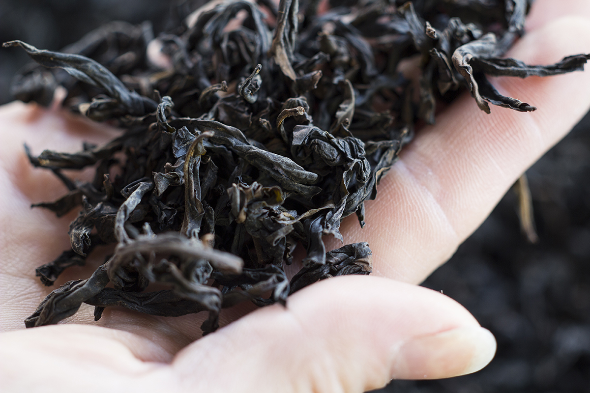 真假大红袍,真假大红袍茶叶鉴别方法