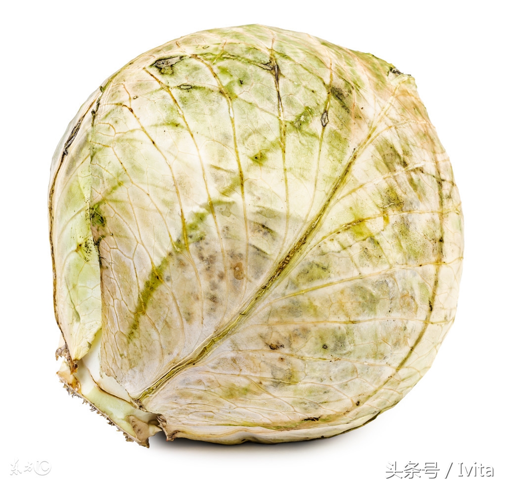 治疗食物中毒的药有哪些,治疗食物中毒最好的医院