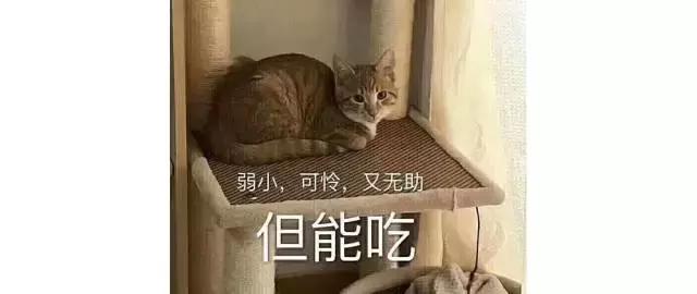 pola美白口服液vc,6元vc