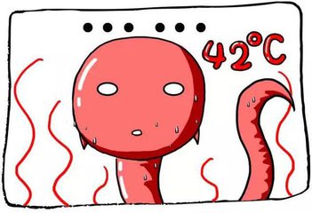 努力的想造人，能否成功还要看“它”！（上）