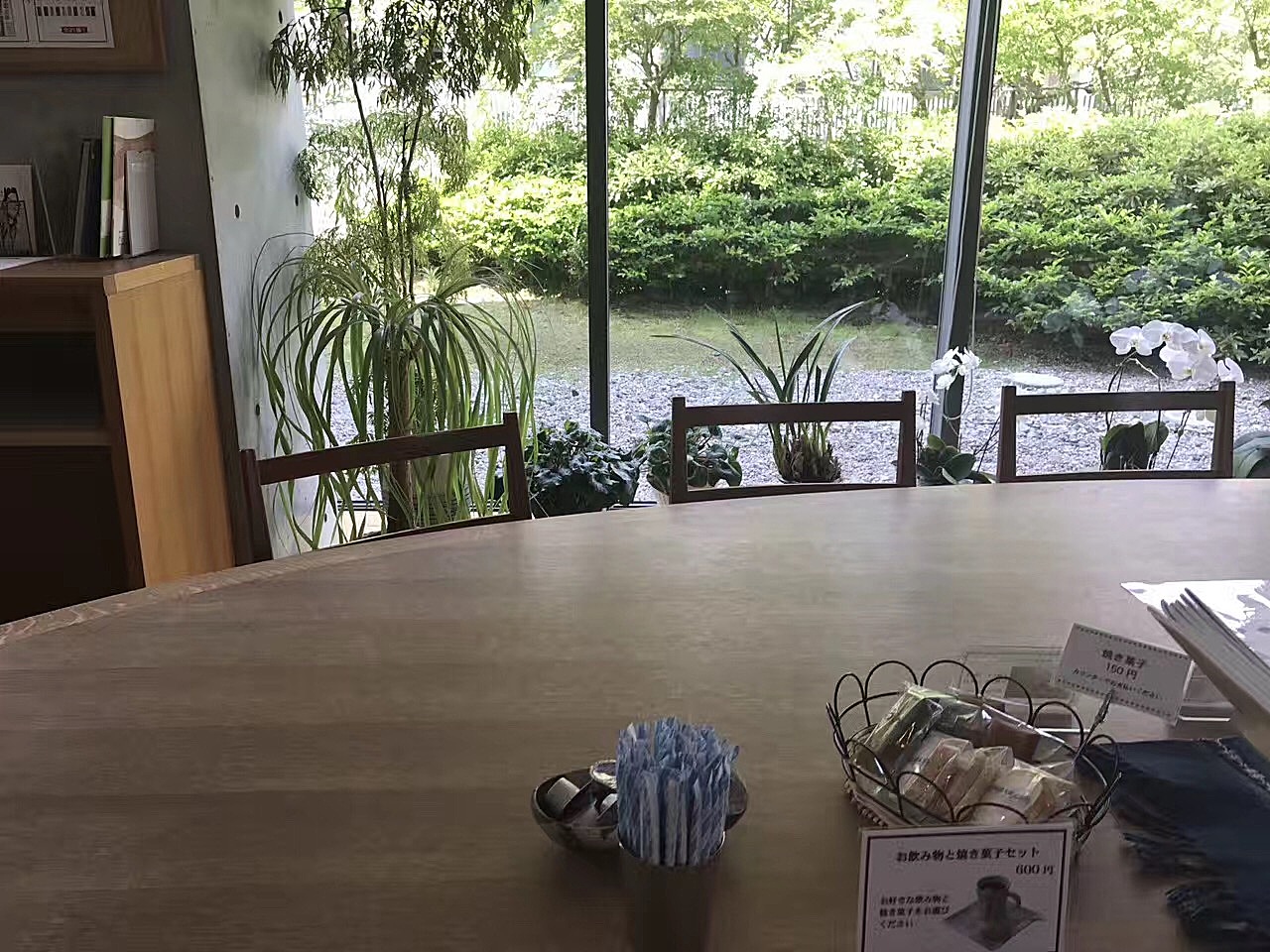 日本的环境脏乱差,日本的环境垃圾