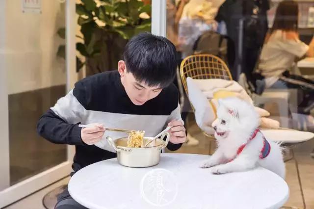 厦门第一家兰州拉面店,厦门第一家拉面馆