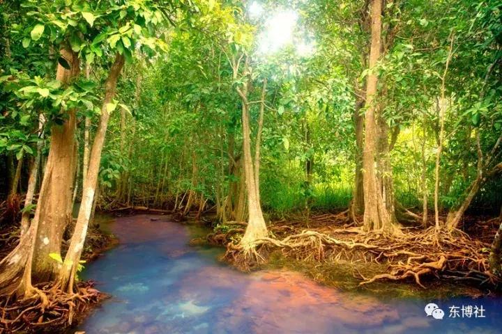 不要丧！去印尼泗水，找回你的快乐时光~