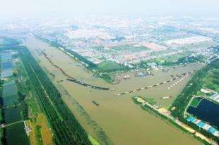 依托“互联网+”，这个双“11”，高邮鸭蛋飘香全国！