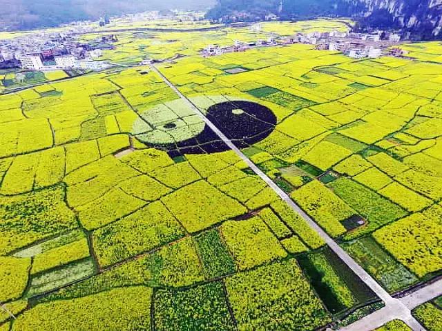 贵州最富的土豪村,贵州省最穷10大县