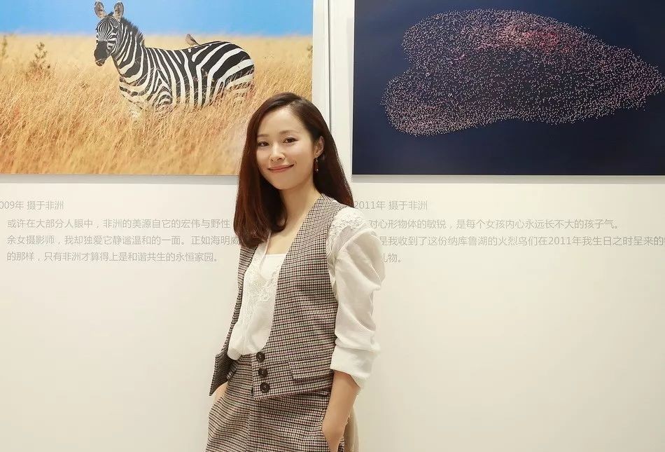 旅行的意义作文1000字,陈绮贞经典歌曲旅行的意义