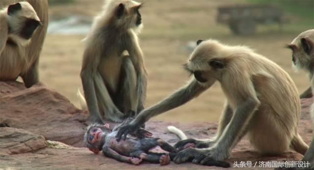 这34个间谍，每天只干一件事：*窥偷**！还拍成电影全球上映？