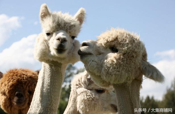 怎么去赚别人赚不到的钱,走最难走的路赚别人赚不到的钱