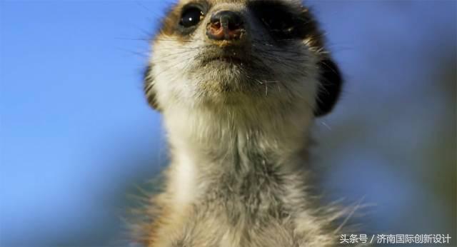 这34个间谍，每天只干一件事：*窥偷**！还拍成电影全球上映？