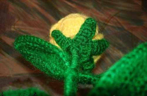 向日葵花束的钩法视频教程,玫瑰花束的折法教程