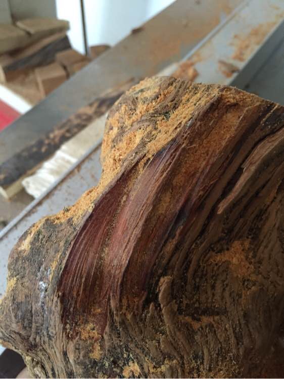 崖柏手串的历史,关于崖柏的那些事