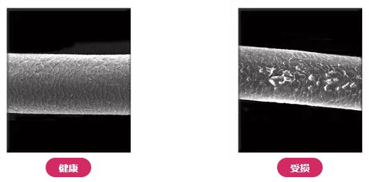 让你拥有一顶柔顺飘逸的秀发,想要一头柔顺有光泽的秀发吗