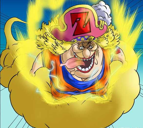 海贼王中的永生果实,海贼王永生的物品