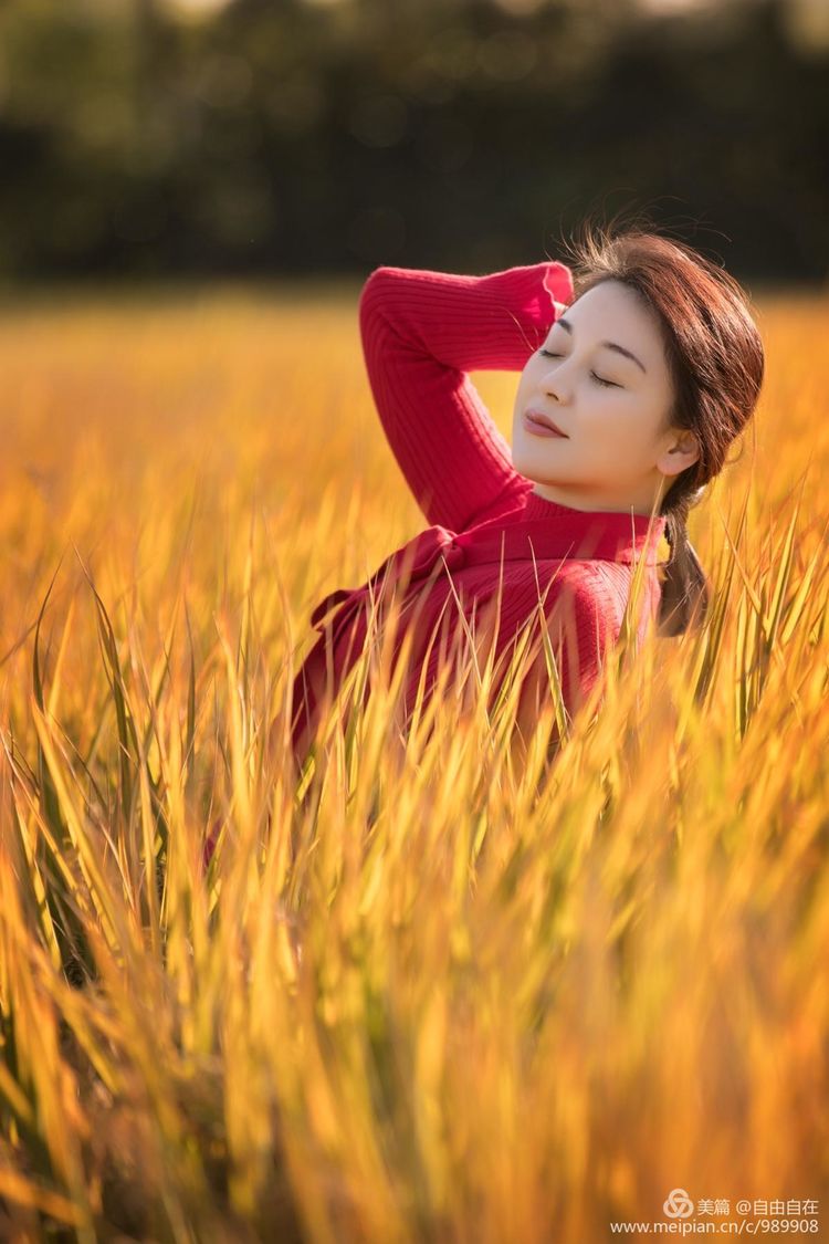 十里稻花香的全诗,十里稻花香的上一句