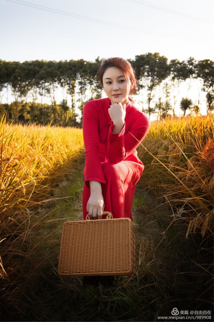 十里稻花香的全诗,十里稻花香的上一句