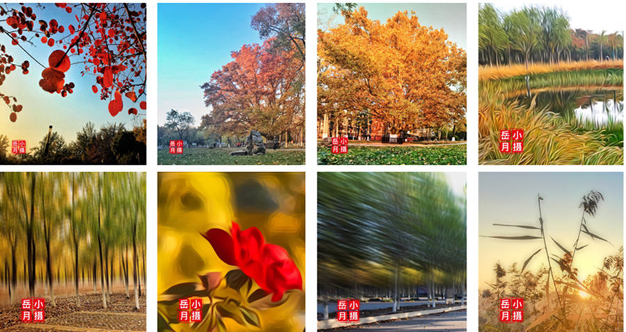 手机怎么给照片批量加水印,多张照片手机如何一次加水印