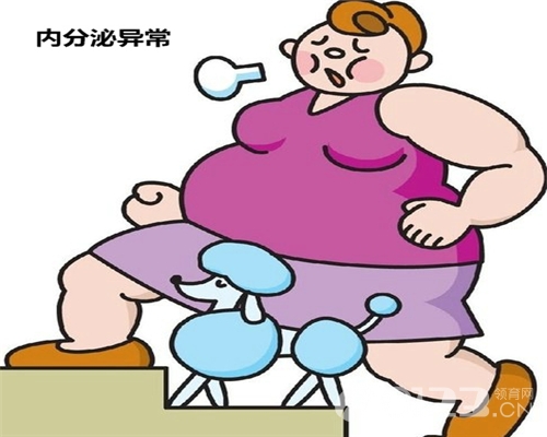 内分泌失调如何调理的,内分泌失调如何调理备孕