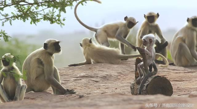 这34个间谍，每天只干一件事：*窥偷**！还拍成电影全球上映？