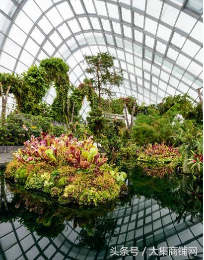 怎么去赚别人赚不到的钱,走最难走的路赚别人赚不到的钱