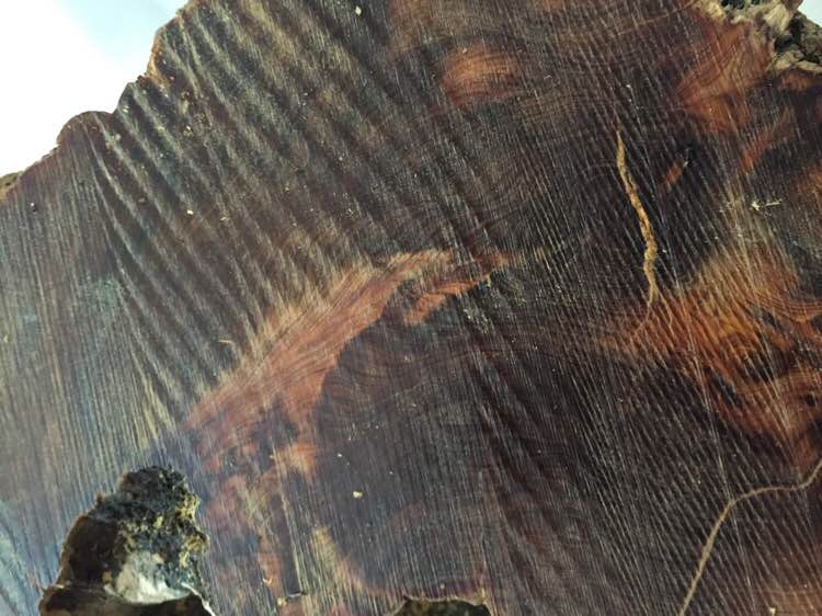 崖柏手串的历史,关于崖柏的那些事