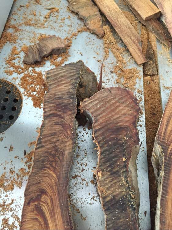 崖柏手串的历史,关于崖柏的那些事