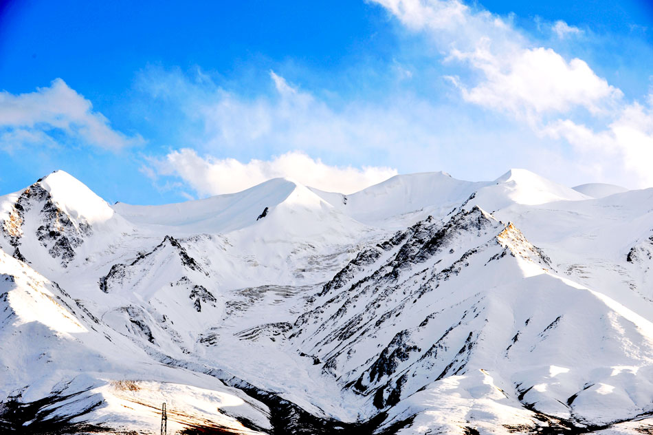 侠盗盗走瑰宝，被妙龄女子追杀走上绝境，再次醒来穿喜袍躺棺材