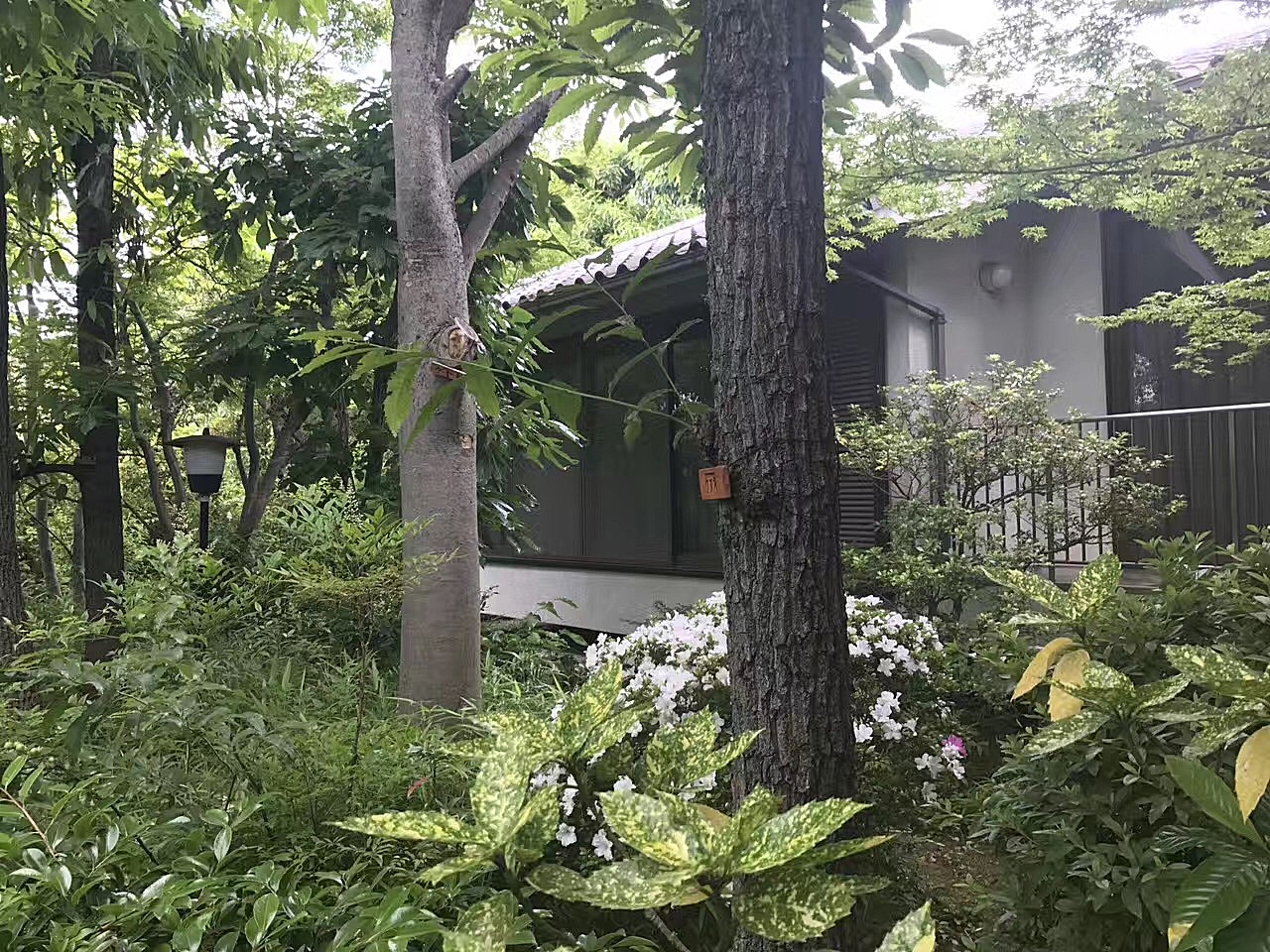 日本的环境脏乱差,日本的环境垃圾