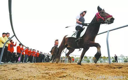 武汉大学和华中师大哪个女生漂亮,湖北女生最多的10所高校