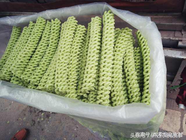 返乡创业0经验销路不愁无淡季,回农村创业怎样才能一年赚10万