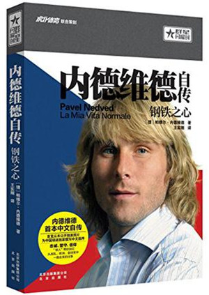 世界杯著名球星排名,世界杯十大足球明星