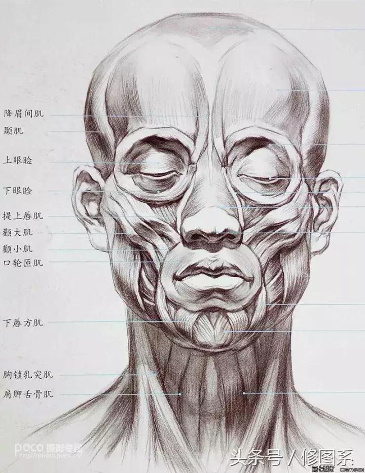 如何利用修图技术换脸,从零开始学手机修图