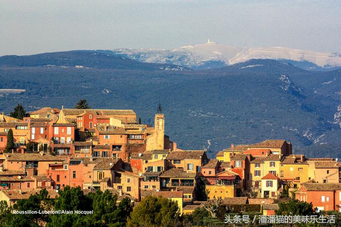 来自普罗旺斯的薰衣草,普罗旺斯薰衣草的味道