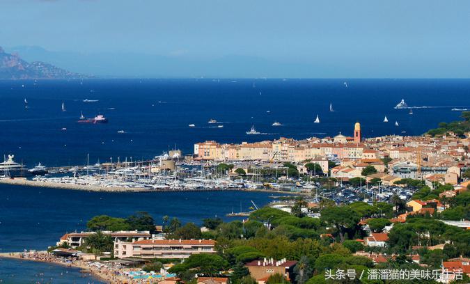 来自普罗旺斯的薰衣草,普罗旺斯薰衣草的味道