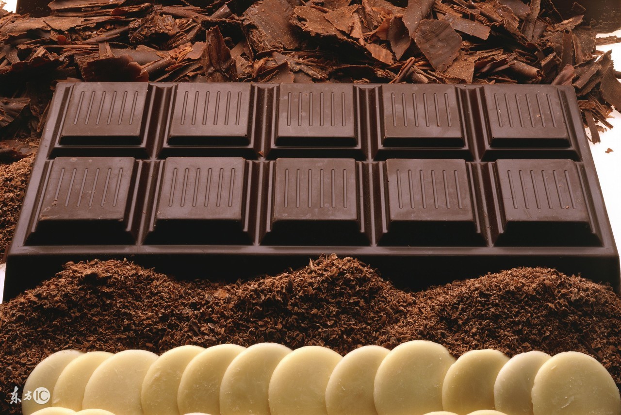 哈士奇不能吃什么食物,哈士奇可以随便吃东西吗