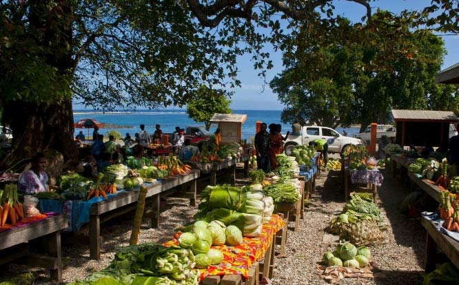 瓦努阿图消费水平一月生活费,瓦努阿图的生活成本